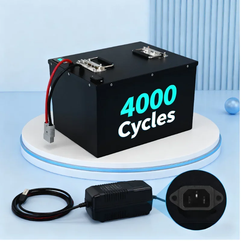 Pacco batterie LiFePO4 con BMS - Lifepo4 72V 100Ah Battery Pack Ev recensione e prezzo