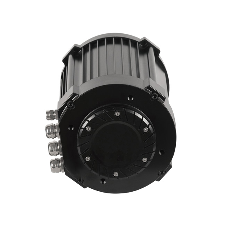 Kit Motore PMSM Affidabile da  - Ev Electric Motor Conversion Kit Car recensione e prezzo